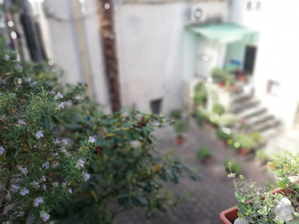 Apartment Centro Storico ピラン エクステリア 写真